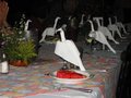 Img_3040.jpg